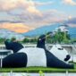Chengdu Research Base of Giant Panda Breeding